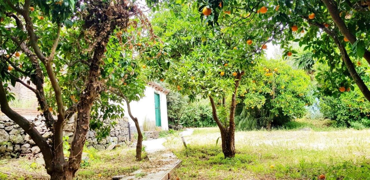 L'Aranceto Villa Acireale Exterior foto